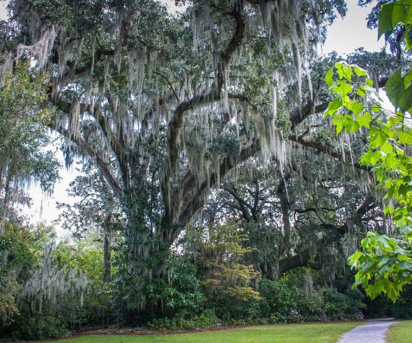 Discover the Magic of Lumi Online Casino